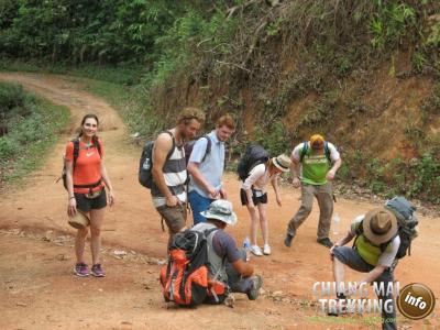 Photos de nos clients | Chiang Mai Trekking | Le meilleur trekking à Chiang Mai avec Piroon Nantaya